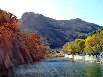 管家婆黑白马报图库，涟水seo教程